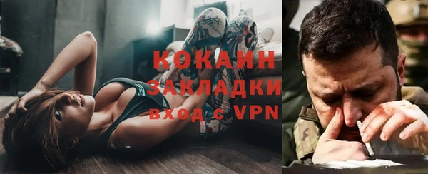 молекула духа Покров