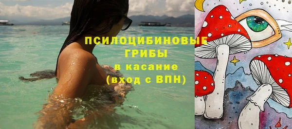 2c-b Покачи