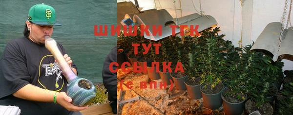 молекула духа Покров