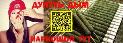 СК Гатчина
