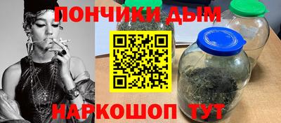 СК Гатчина