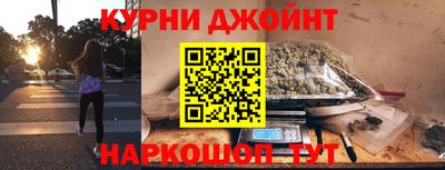 СК Гатчина