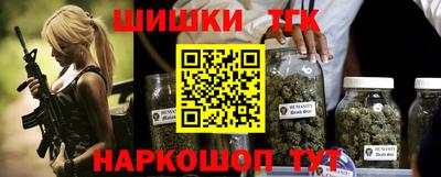 СК Гатчина