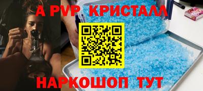СК Гатчина