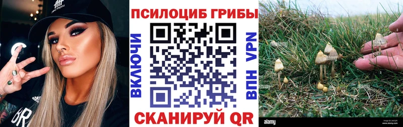 hydra   Губкинский  Галлюциногенные грибы прущие грибы 