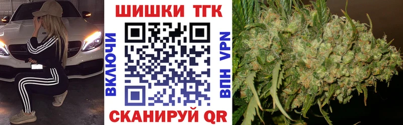 Шишки марихуана сатива  Губкинский 