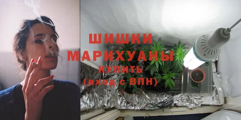 Бошки Шишки OG Kush  МЕГА онион  Губкинский  закладка 